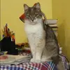 Отзыв от Анфиса Терехова